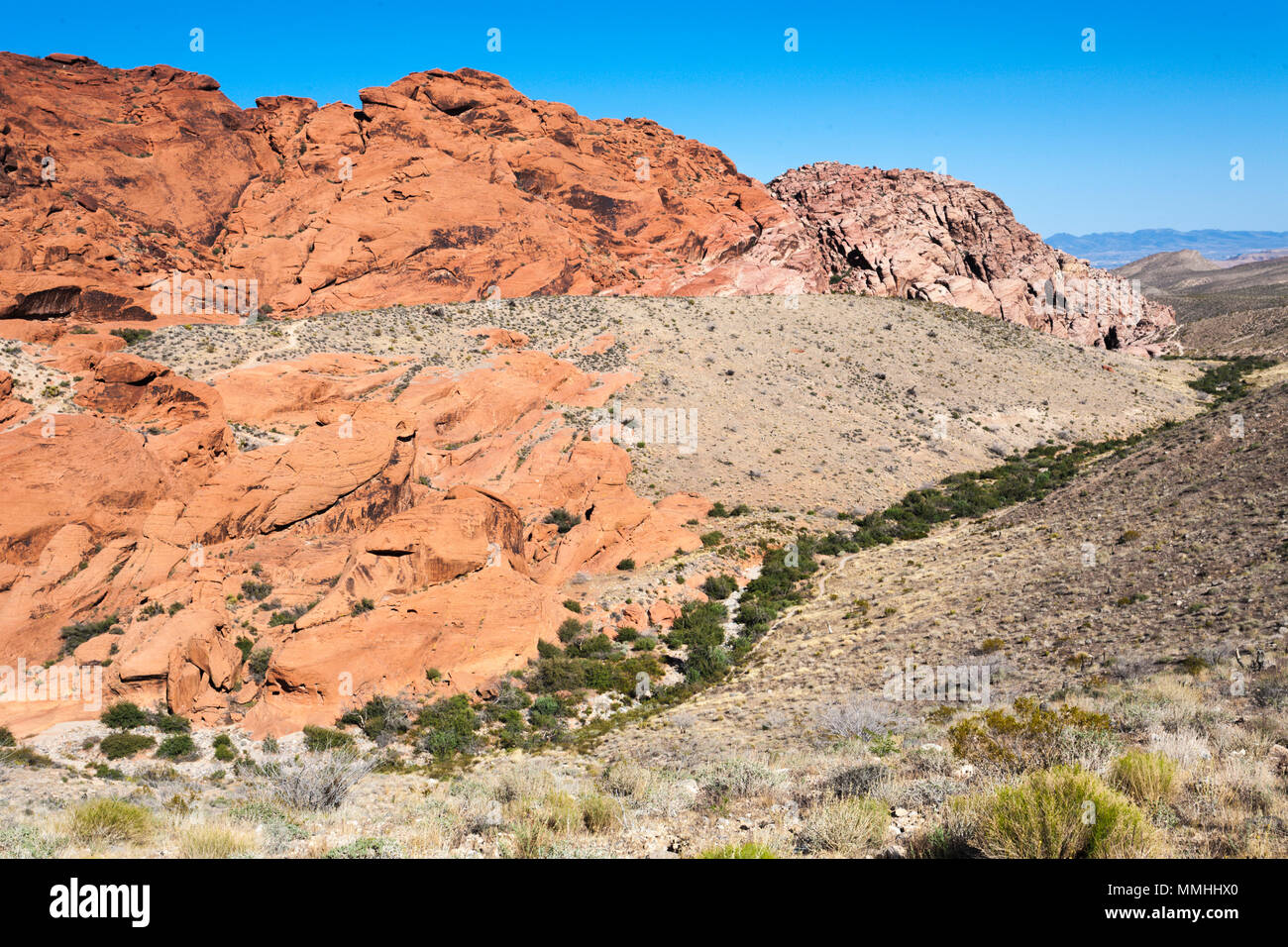 La végétation du désert bas de lignes vallée entre rock formations in Red Rock Canyon National Conservation Area en dehors de Las Vegas, Nevada Banque D'Images