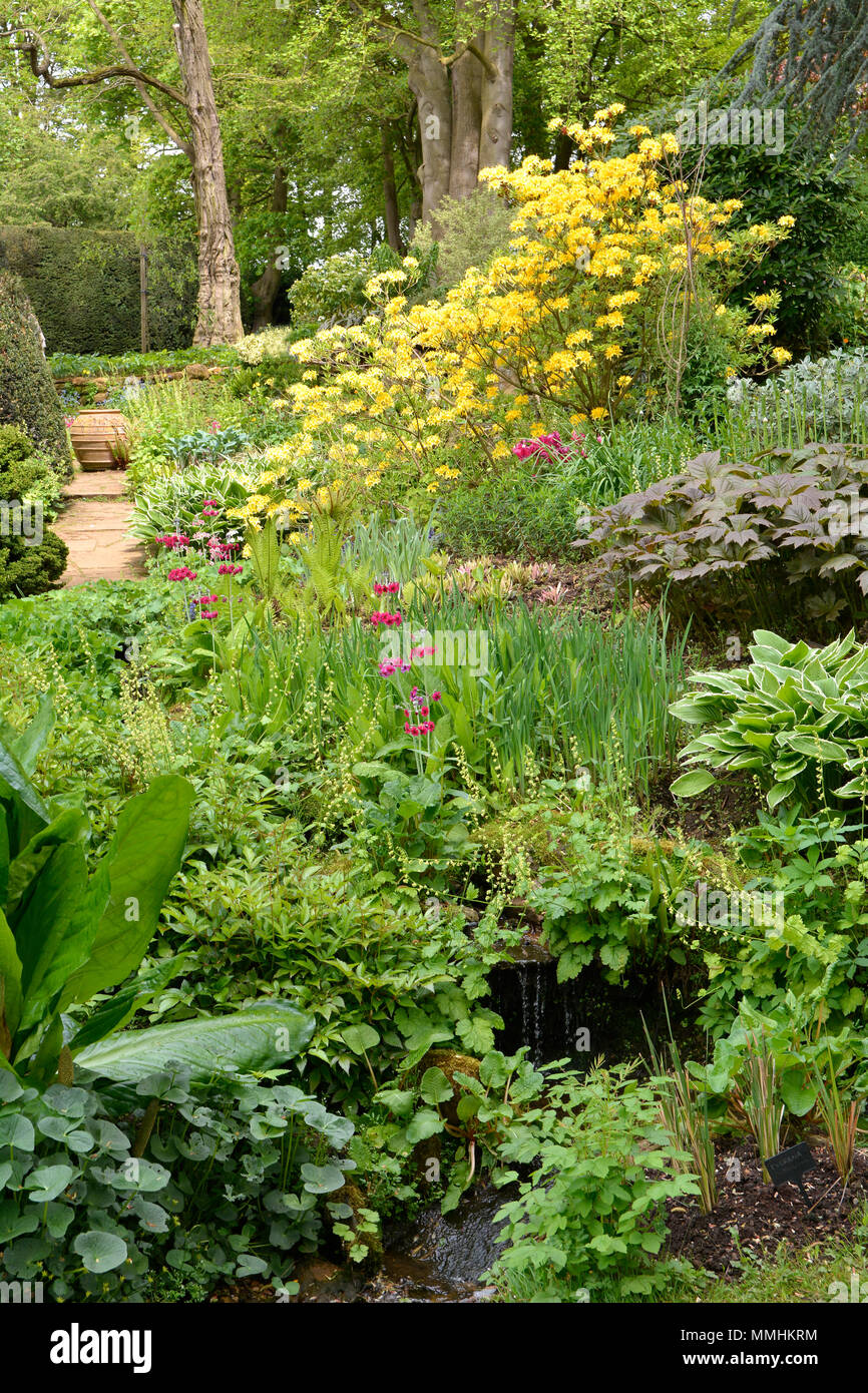 Un jardin anglais en fleurs Coton Manor, Northamptonshire Banque D'Images