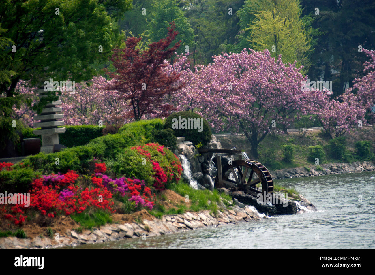 Roue de l'eau dans un jardin fleuri au printemps, Séoul, Corée du Sud Banque D'Images