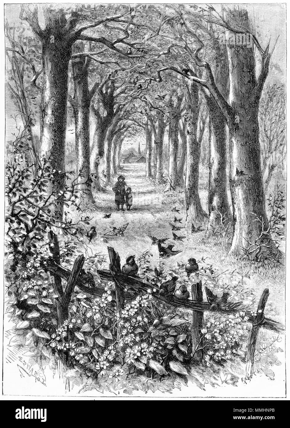 Gravure d'enfants marchant dans un chemin de campagne. À partir d'une gravure originale à la jeune fille son propre magazine papier 1883. Banque D'Images