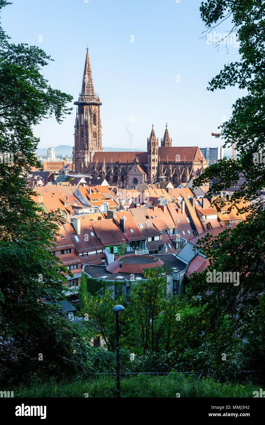 Vue depuis le Schlossberg à Freiburg, Münster Banque D'Images