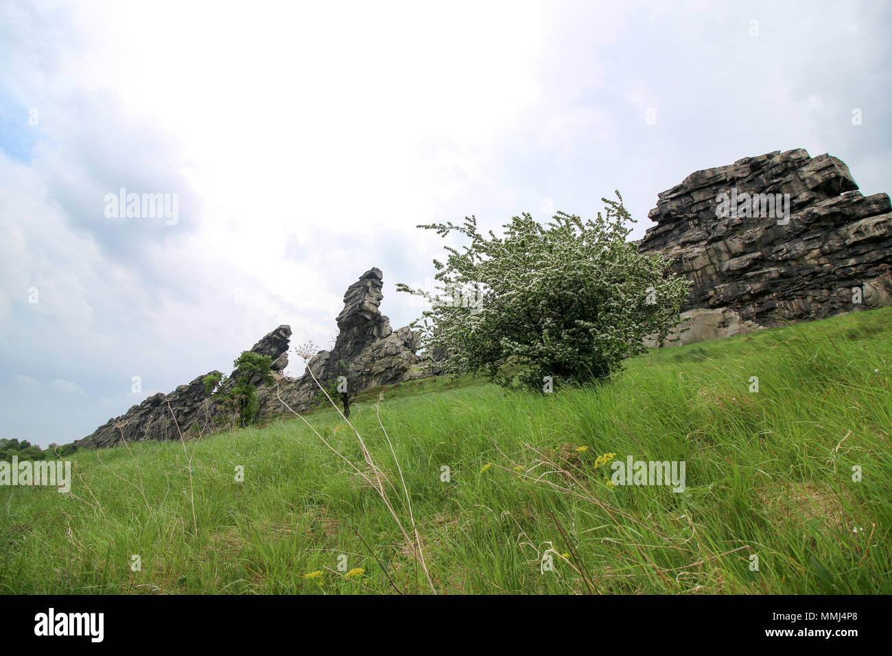 Weddersleben Allemagne 10 Mai 2018 Vue Sur Le Mur Du