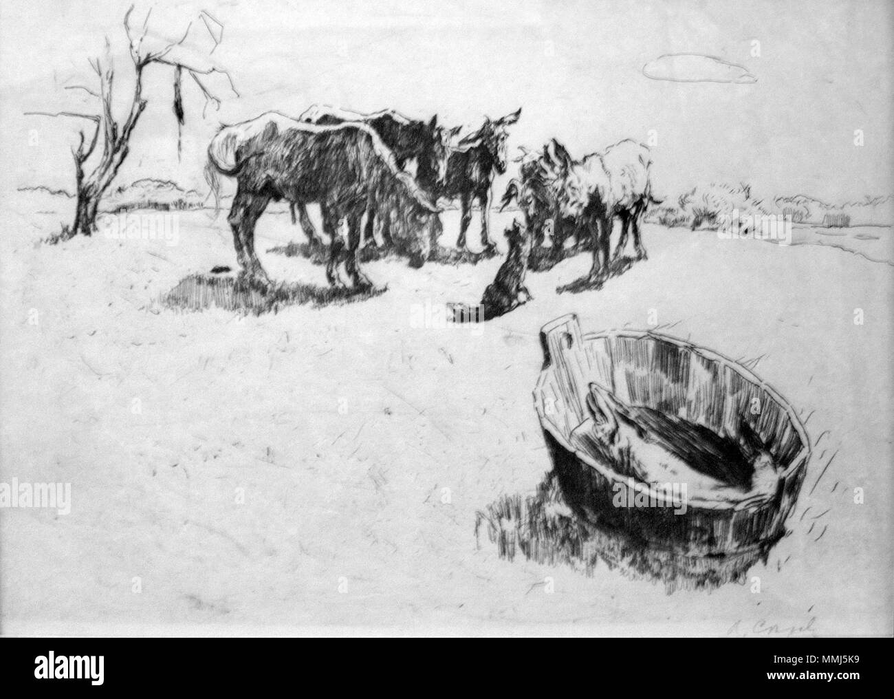 Russe : " ? ? ? ?" Le brochet. 1896. Valentin Serov (1865-1911) Noms alternatifs : Russe ? ? ? ? ? ? ? ?  ? ? ? ? ? ? ? ? ? ? ? ? ?  ? ? ? ? ? Description peintre russe Date de naissance/Décès 19 Janvier 1865 (7 janvier 1865 au calendrier julien) 22 novembre 1911 (5 décembre 1911 au calendrier julien) Lieu de naissance/décès Saint Petersbourg Moscou Pays-bas lieu de travail (1885), Belgique (1885) ; Allemagne (1855), Italie (1887) ; Paris (1889), Italie (1904), Grèce (1907), Italie (1910) ; Paris (1910), à Munich (1872 - 1873) ; Paris (1874 - 1875), Moscou (1878 - 1911) ; Saint Petersburg (1880 - 1884) le contrôle d'autorité : Q217128 Banque D'Images