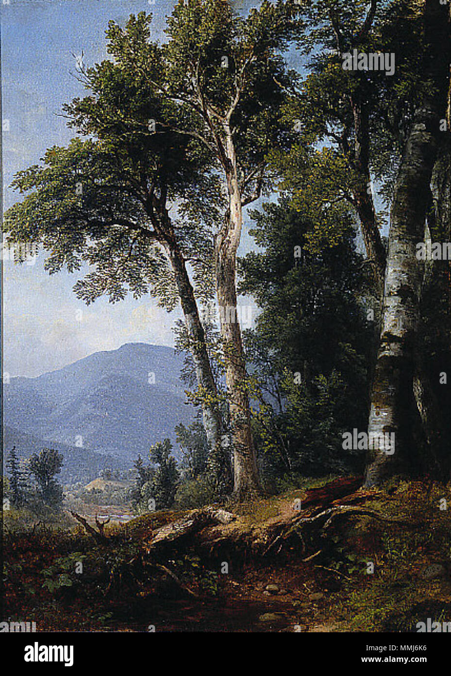 Anglais : Paysage . vers 1850. Asher Brown Durand - Paysage boisé Banque D'Images