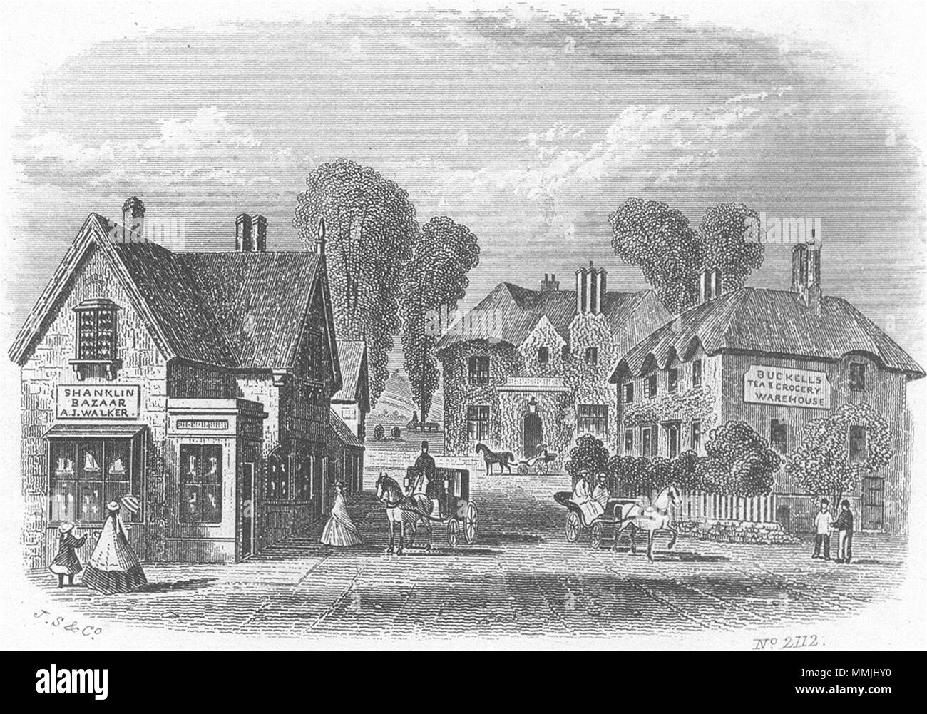 L'OIEAU. L'île de Wight Shanklin c1850 ancienne vintage print photo Banque D'Images