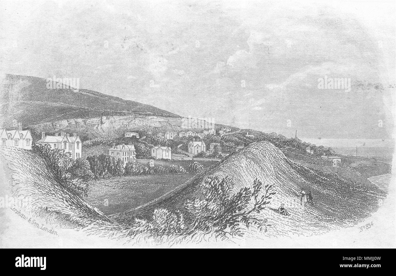 Le PORTUGAL. Vale Madère Ventnor, île de Wight. L'OIEAU c1855 vieux ancien Banque D'Images