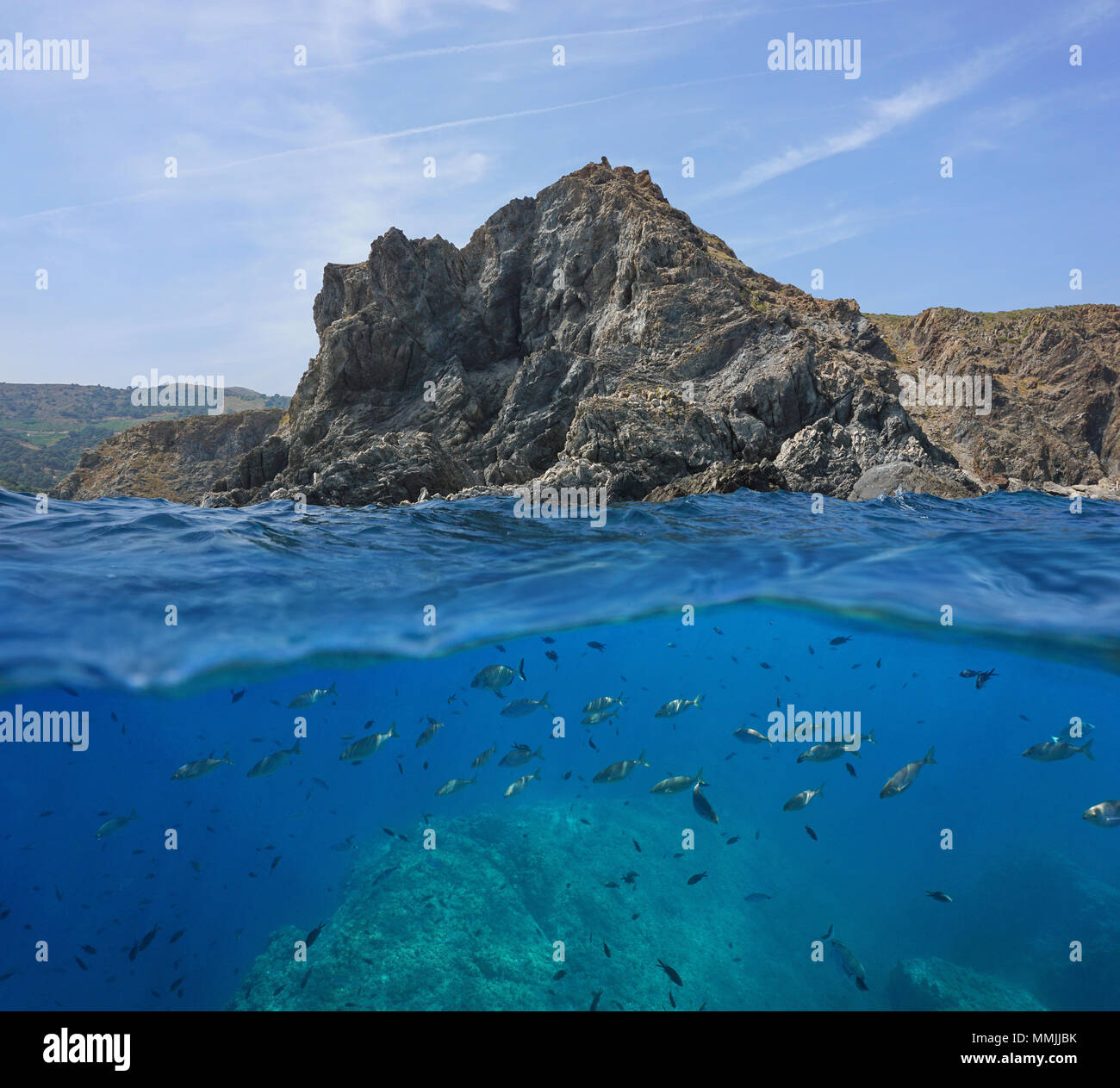 Côte Rocheuse avec un banc de poissons sous l'eau, vue fractionnée au-dessus et au-dessous de la surface de l'eau, mer Méditerranée, réserve marine de Cerbère Banyuls, France Banque D'Images