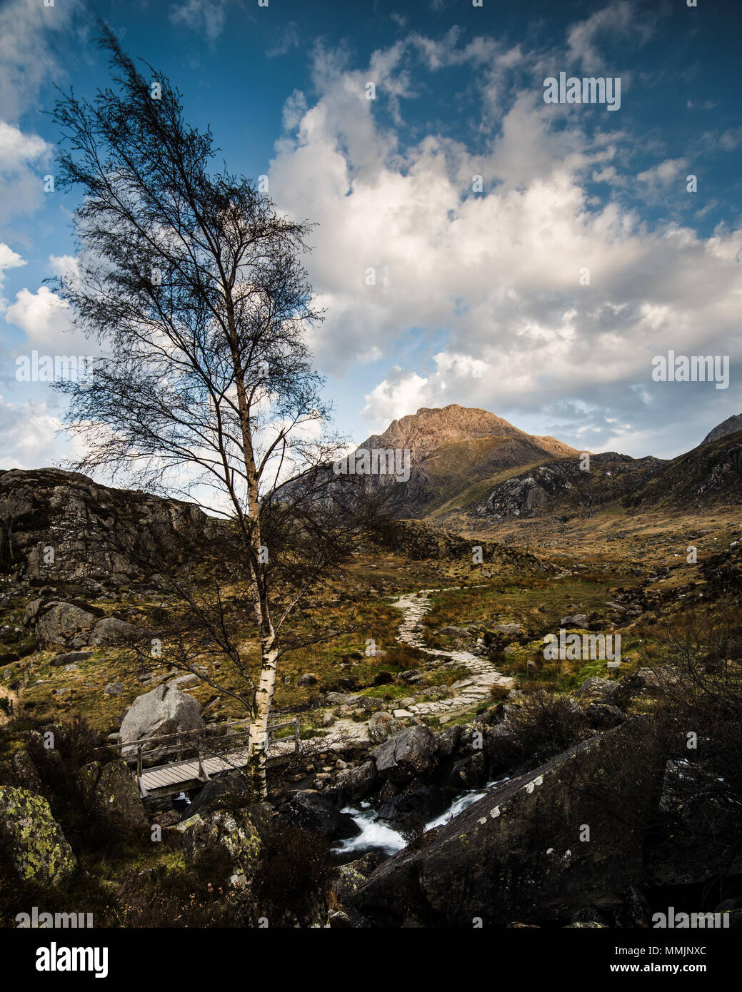 Sentier menant à Tryfan au coucher du soleil dans le parc national de Snowdonia, le Pays de Galles Banque D'Images