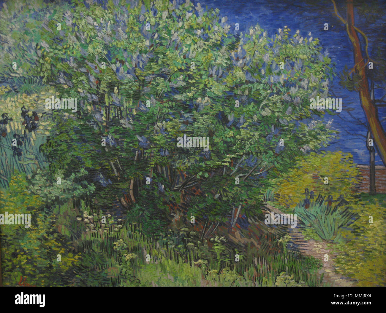 . Vincent van Gogh : Lilac Bush Artiste Vincent van Gogh (1853-1890) Noms alternatifs Vincent Willem van Gogh, peintre néerlandais Description tiroir et graveuse Date de naissance/décès 30 mars 1853 - 29 juillet 1890 Lieu de naissance/décès Zundert Auvers-sur-Oise entre période de travail vers 1880 et vers juillet 1890 lieu de travail Pays-bas (Etten, La Haye, Nuenen, …, avant 1886), Paris (à partir de 1886 jusqu'en 1887), Arles (de 1888 à 1889), Aix-en-Provence (de 1889 à 1890), Auvers-sur-Oise (1890) contrôle d'autorité : Q5582 : 9854560 VIAF ISNI : 0000 0001 2095 5689 ULAN : 50 Banque D'Images
