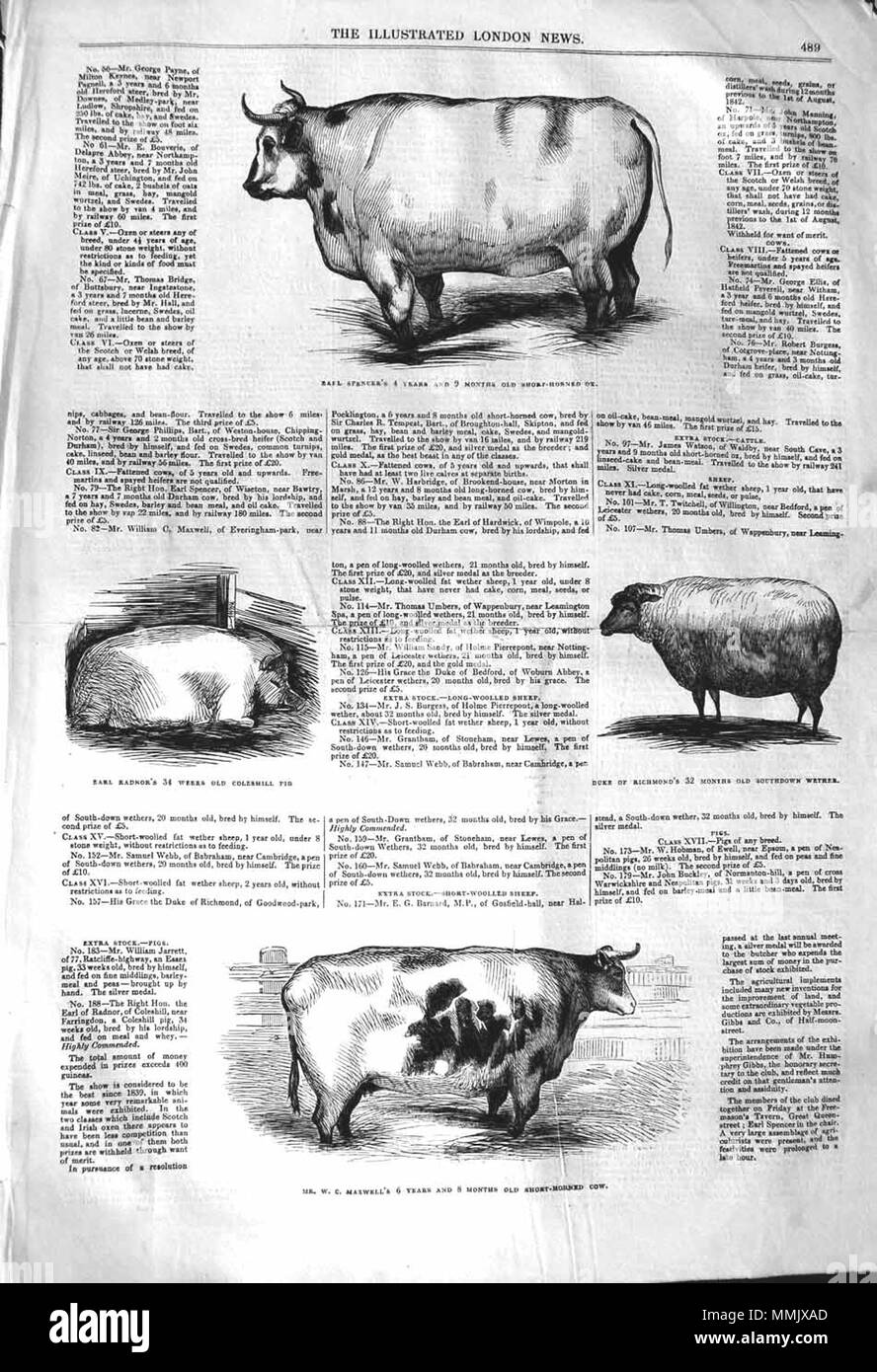 . L'Illustrated London News, 1842, p. 489 . 10 décembre 1842. ILN Inconnu 1842, p. 489 Banque D'Images