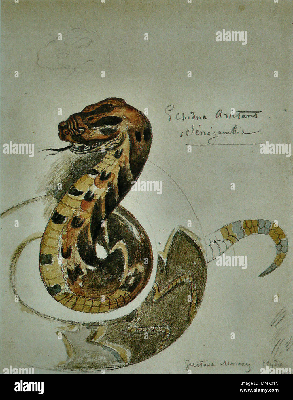 Gustave Moreau - Étude de vipère heurtante Banque D'Images