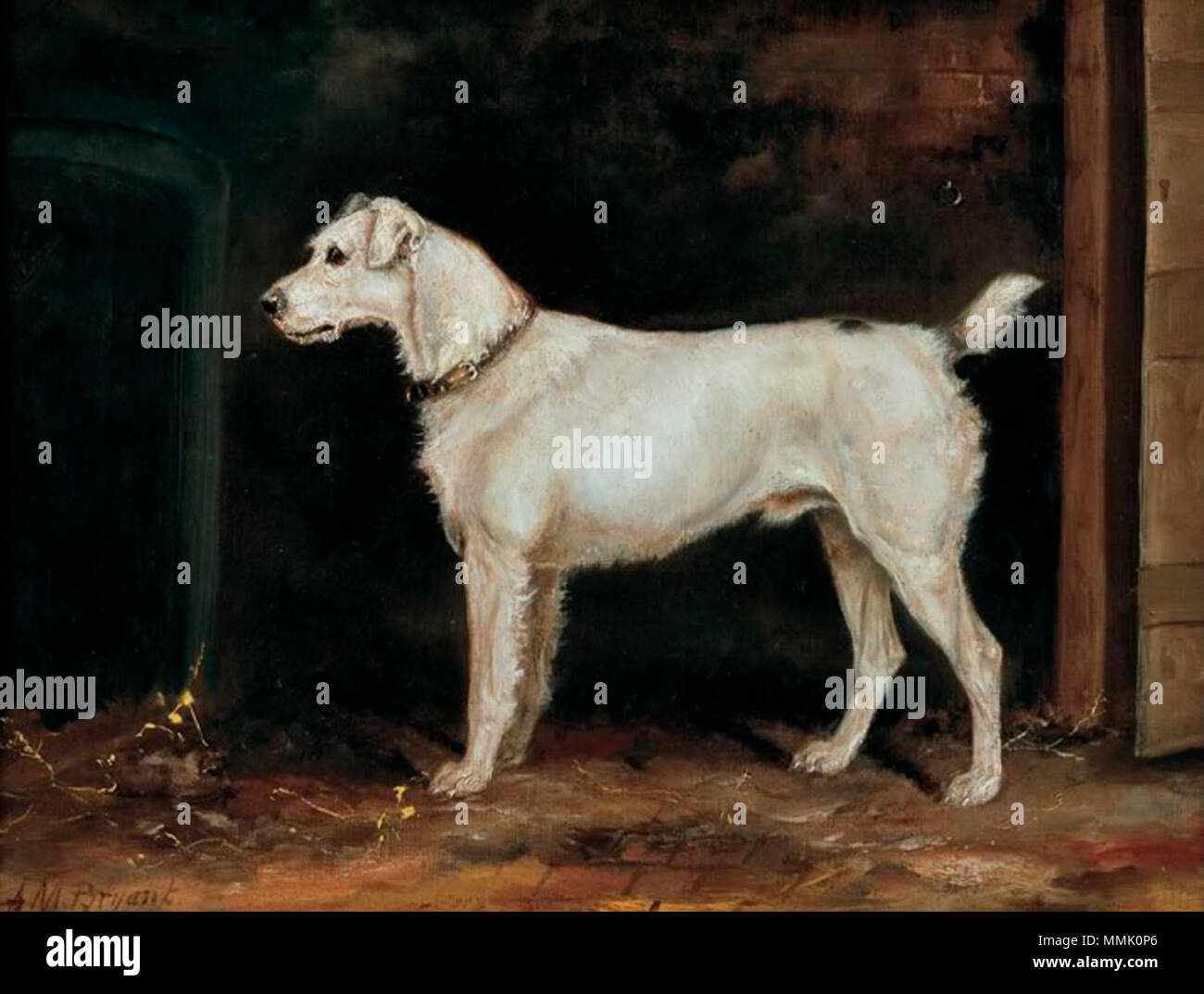 . Anglais : Le Fox Terrier Cheroot est né en 1886 et est un lien entre le groupe de Fox Terriers du début du 19ème siècle et l'exposition des chiens à la fin du siècle. Deutsch : Le Fox Terrier Cheroot wurde im Jahr 1886 geboren und steht für die Entwicklung der Rasse zwischen den jagdlich Terriern eingesetzten Fox des frühen 19. Jahrhunderts und den Ausstellungshunden am Ende des Jahrhunderts. . 19e siècle. Maud Alice Bryant 1875-1910 Cheroot Banque D'Images