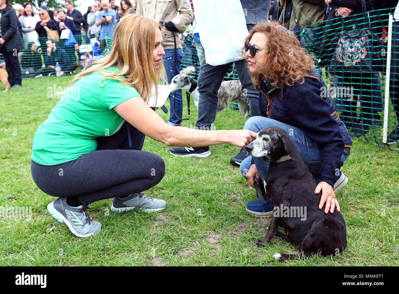 Londres, Royaume-Uni. 12 mai 2018. Juge Anneka Svenska avec Moko le teckel de 18 ans à la croisée du pointeur Tous les chiens Question Grande Écorce d'Hampstead Hampstead, Londres, la chaleur. Tous les chiens l'affaire est une organisation dédiée à aider et re-homing chiens voir www.alldogsmatter.co.uk pour plus d'informations. Crédit : Paul Brown/Alamy Live News Banque D'Images