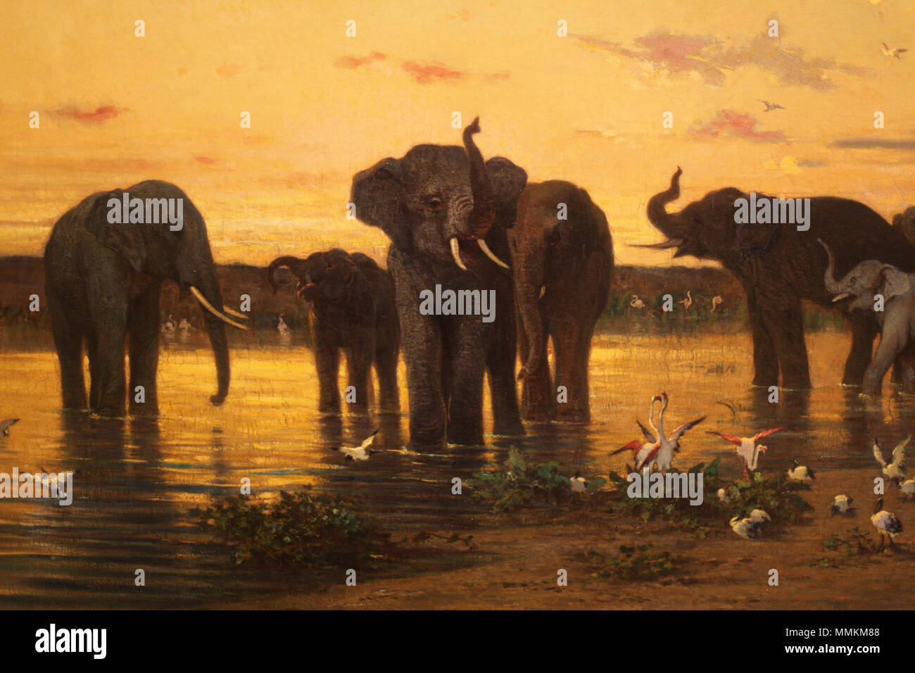 Anglais : des éléphants d'Afrique. avant 1867. Les éléphants d Afrique-Charles-Emile de Tournemine-IMG 8138 Banque D'Images
