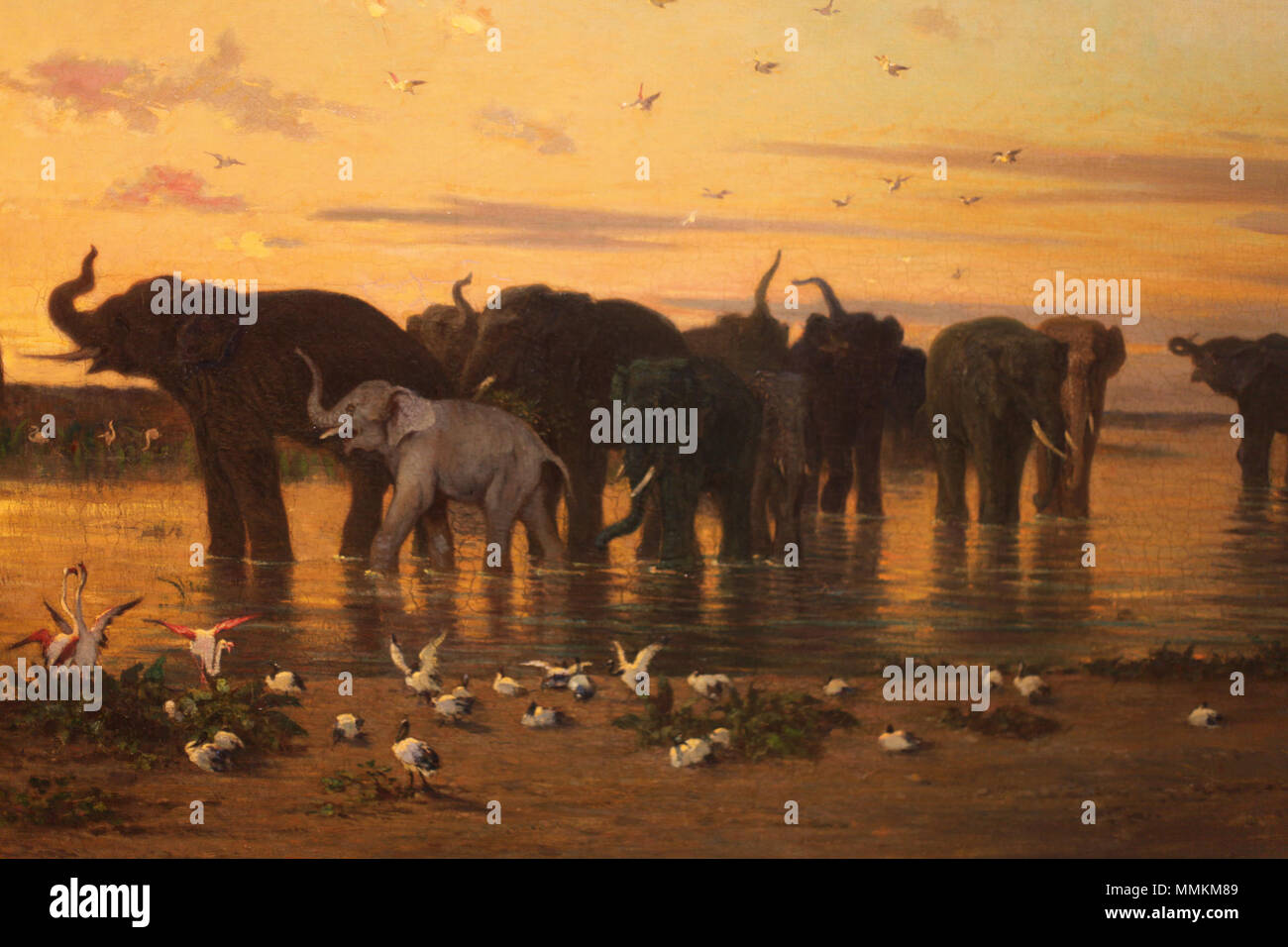 Anglais : des éléphants d'Afrique. avant 1867. Les éléphants d Afrique-Charles-Emile de Tournemine-IMG 8139 Banque D'Images