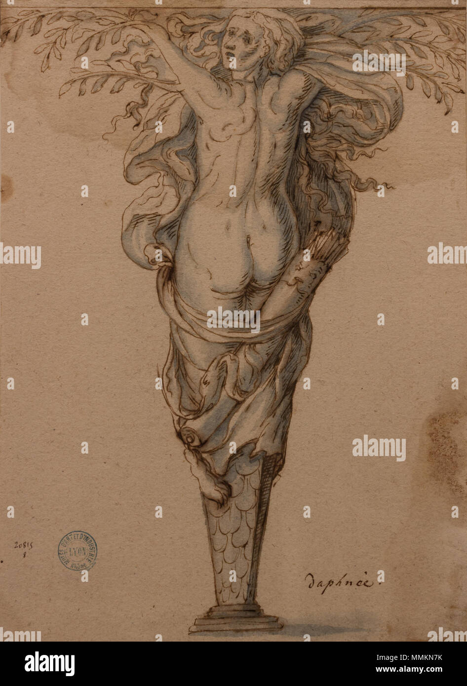 Hugues Sambin - Daphné changée en laurier (Plume et encre brume, lavis brun et aquarelle bleue sur papier, 1595) Banque D'Images