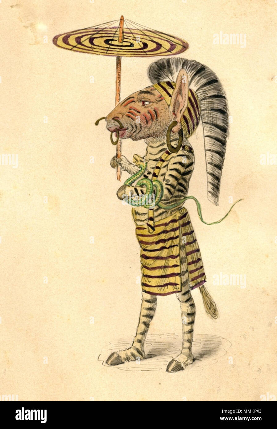 . Mardi Gras de la Nouvelle Orléans 1873 : création de costumes pour Mistick Krewe of Comus. Zebra. . 1873. La britannique Charles (1841-1884) Comus 1873 Zebra Banque D'Images