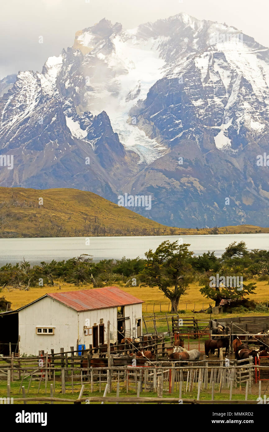 Estancia de Patagonie, Chili Banque D'Images