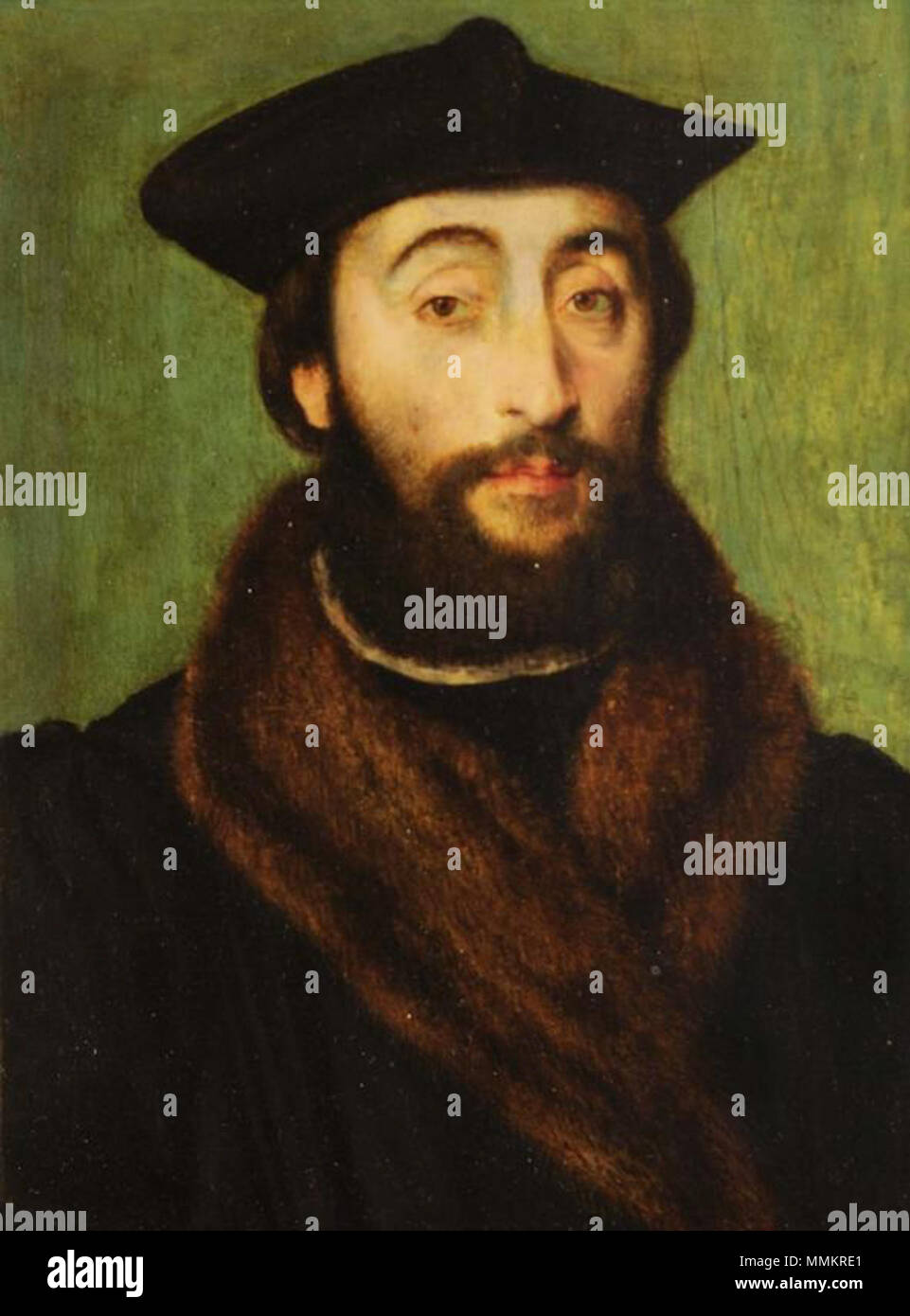 de selve Banque de photographies et d’images à haute résolution