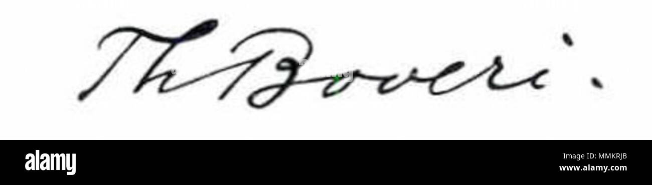 . English : Signature de Theodor Boveri . 24 juillet 2016, 15:53:26. Karl B. Moritz et Helmut W. Sauer 95 Boveri-signature Banque D'Images