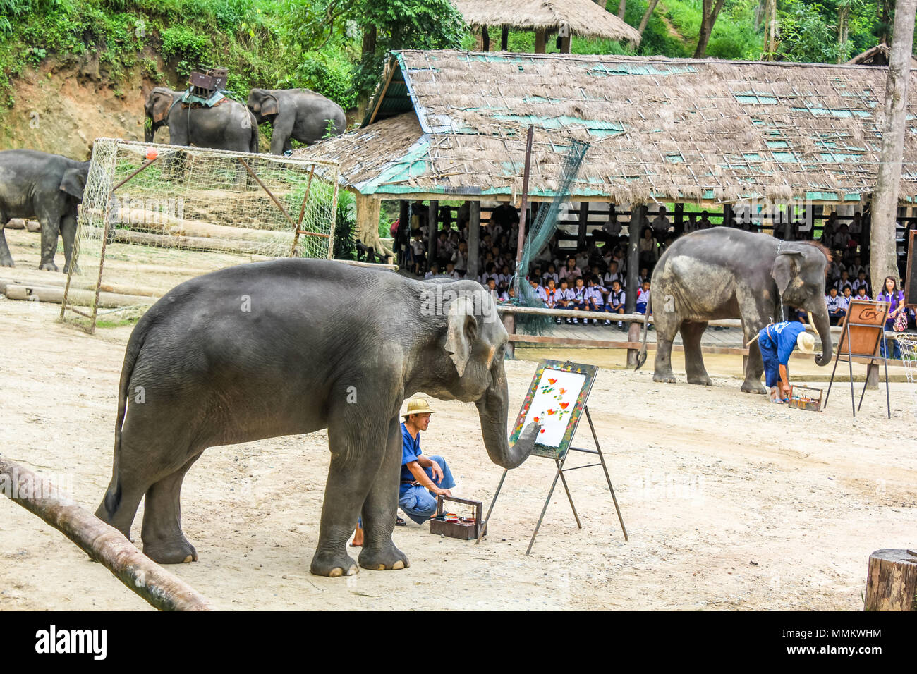 Le district de Muang, Chiang Mai, Thaïlande - 25 juillet 2011 : un dessin Elaphant peinture fleurs. Elephant Show at Maesa Elephant Camp. Tous les éléphants de ce sanctuaire et bien traités et nourris, et ils passent la journée avec leurs formateurs plaing et divertir les visiteurs Banque D'Images