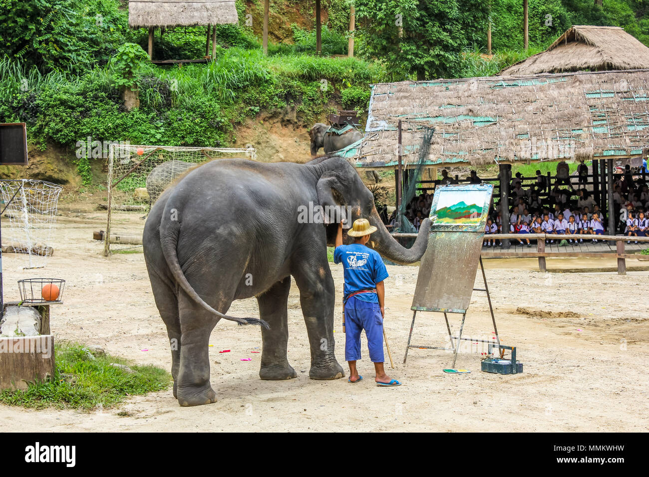Le district de Muang, Chiang Mai, Thaïlande - 25 juillet 2011 : un dessin Elaphant peinture fleurs. Elephant Show at Maesa Elephant Camp. Banque D'Images