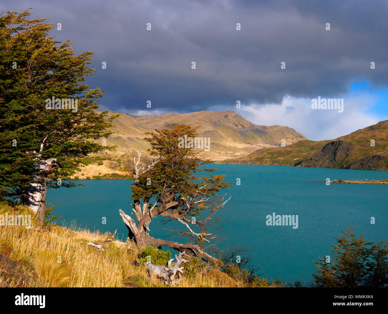 Rio Paine, Parc National Torres del Paine, Patagonie Banque D'Images