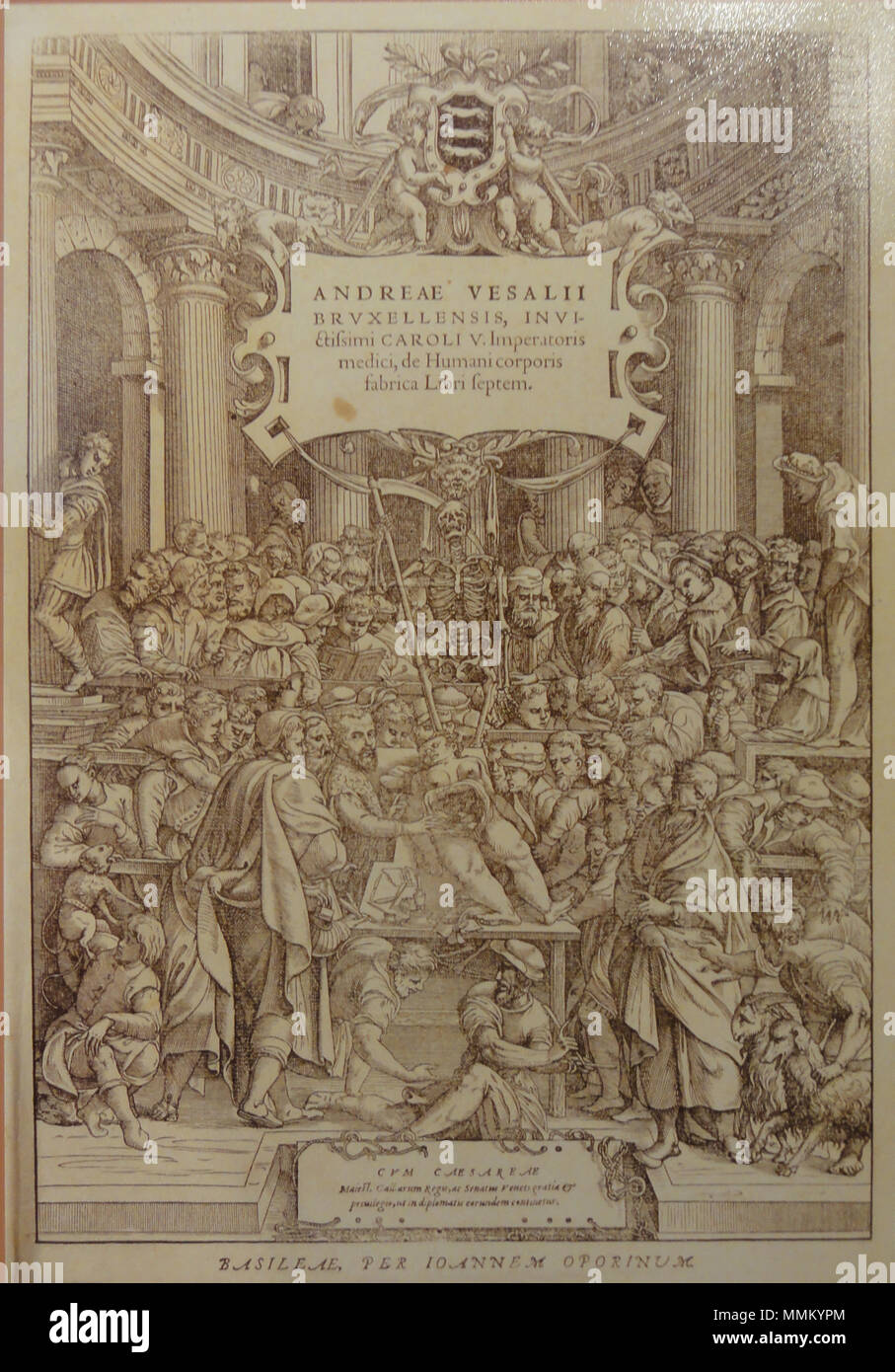 . Bâle - page de titre d'Andreas Vesalius, 'De humani corporis fabrica libri septem' Deutsch : Replik données EXIF avec les coordonnées GPS et mag. du nord. Les données GPS peuvent être inexacts. Ce fichier a été téléchargé avec Commonist. . 5 octobre 2012, 15:35:51. Jan van Calcar (circa 1499-1546/1550) noms alternatifs Giovanni da Calcar, Johannes Stephan van Calcar, Jan van Calcar, Calcarensis Flemish-German Joannes Stephanus Description peintre, dessinateur et graveur Date de naissance/décès vers 1499 entre 1546 et 1550 Lieu de naissance/décès Kalkar Naples Travailler emplacement venise (1536-1537), Na Banque D'Images