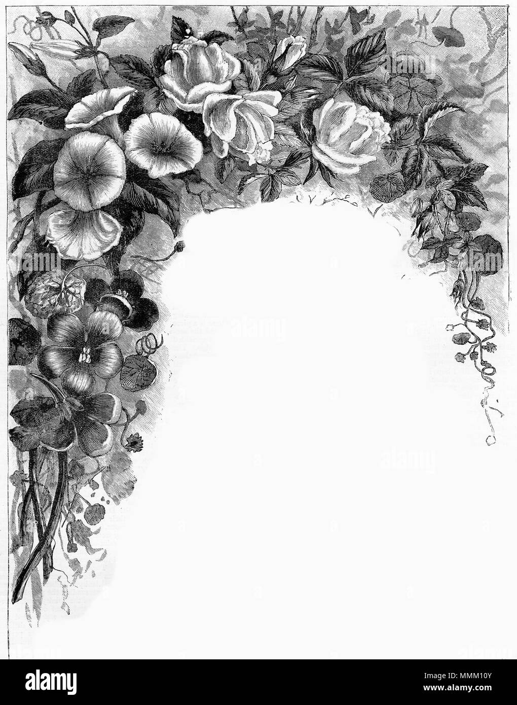 Gravure d'une fleur frontière. À partir d'une gravure originale à la jeune fille son propre magazine papier 1883. Banque D'Images