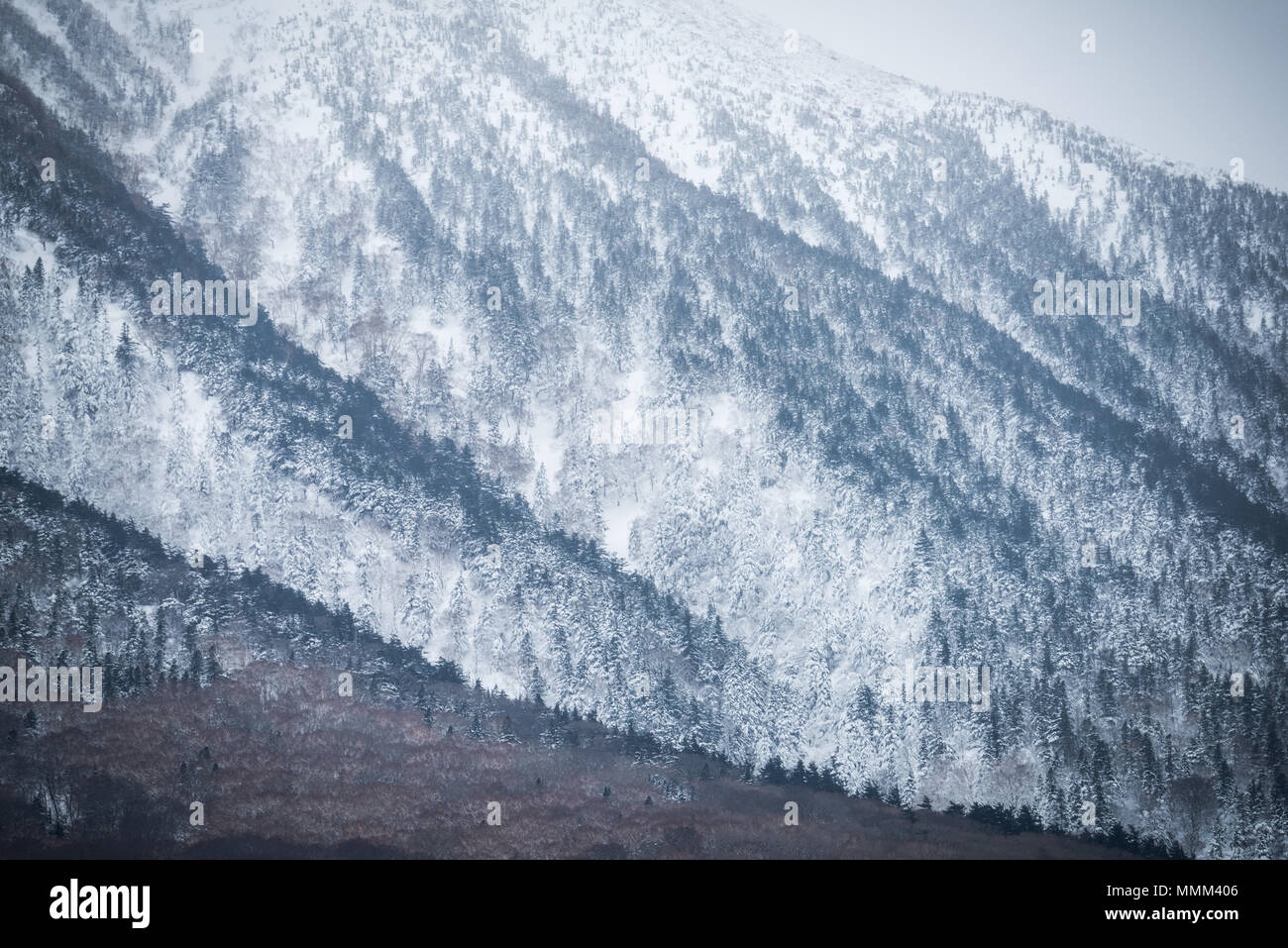 Majestic Mt.Iwate en hiver et couvertes de neige. Banque D'Images
