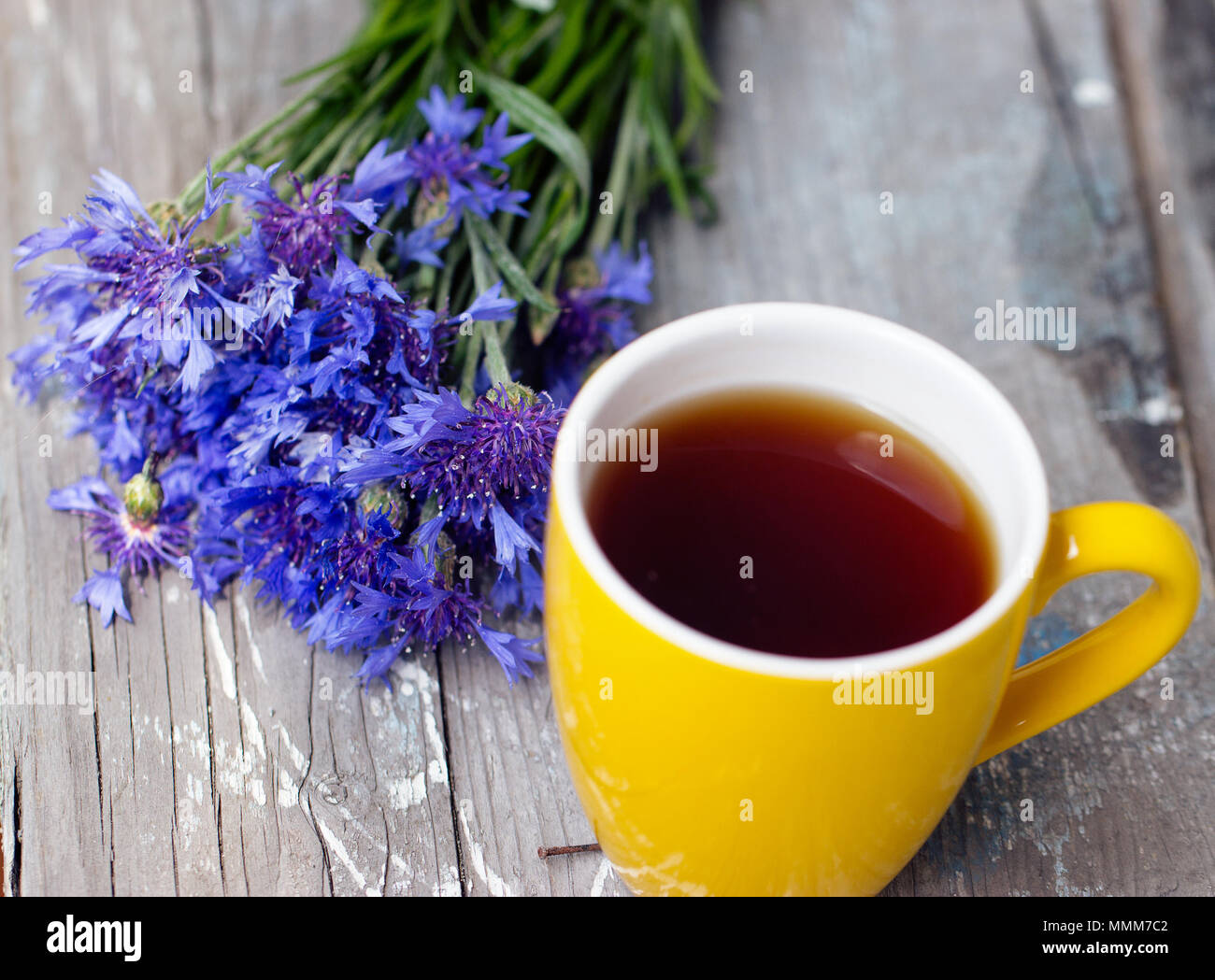 Tasse de thé jaune et un bouquet de barbeaux sur une table violet Banque D'Images