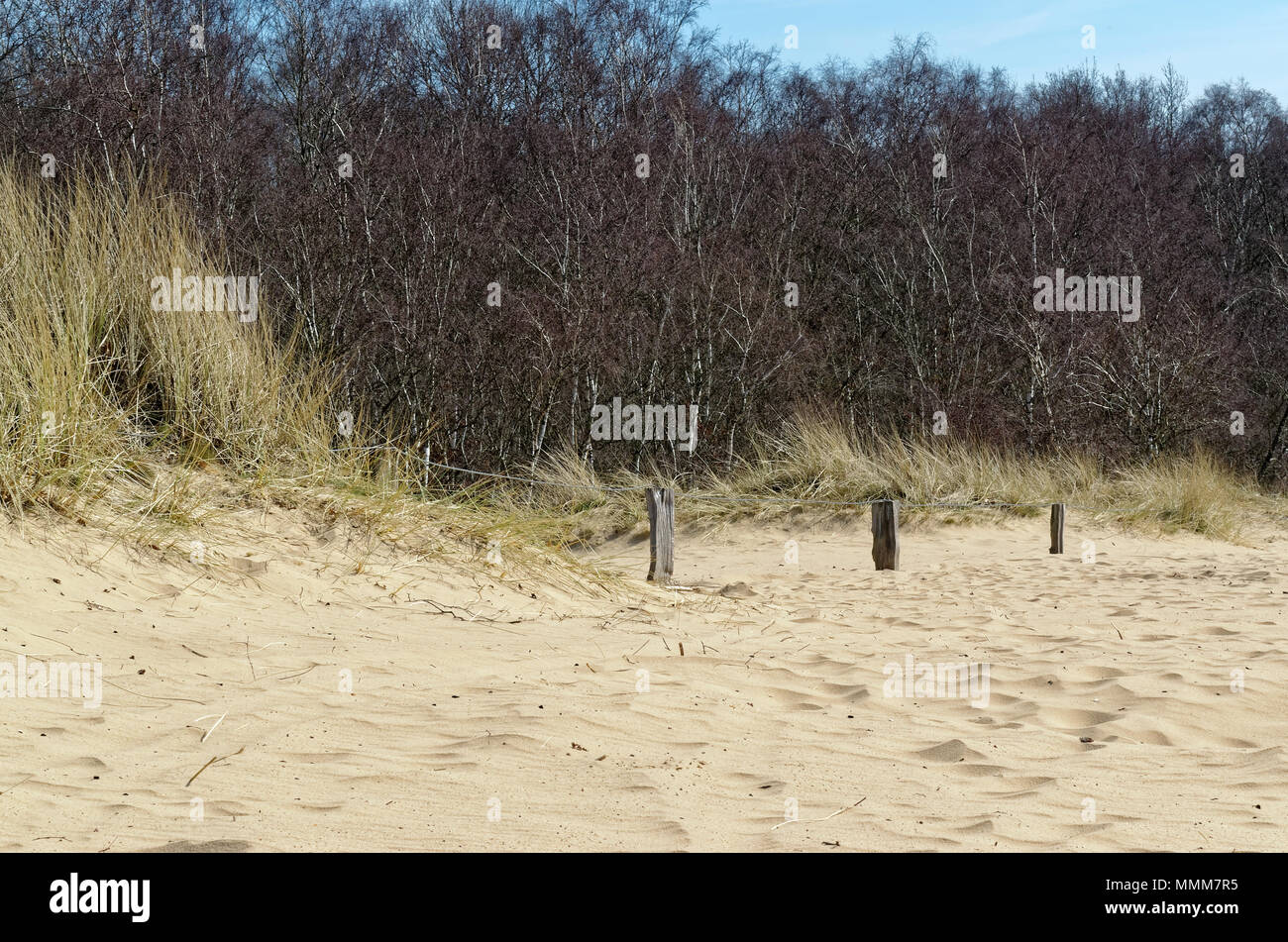 Dunes de sable dans la nature Boberger Niederung réserve à Hambourg, Allemagne Banque D'Images