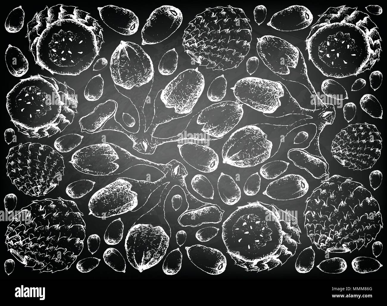 Les fruits tropicaux, Illustration Papier peint fond de croquis dessinés à la main, Cactus Copao ou Eulychnia Breviflora et Buah Dabai, Kembayau ou Canarium Odon Illustration de Vecteur