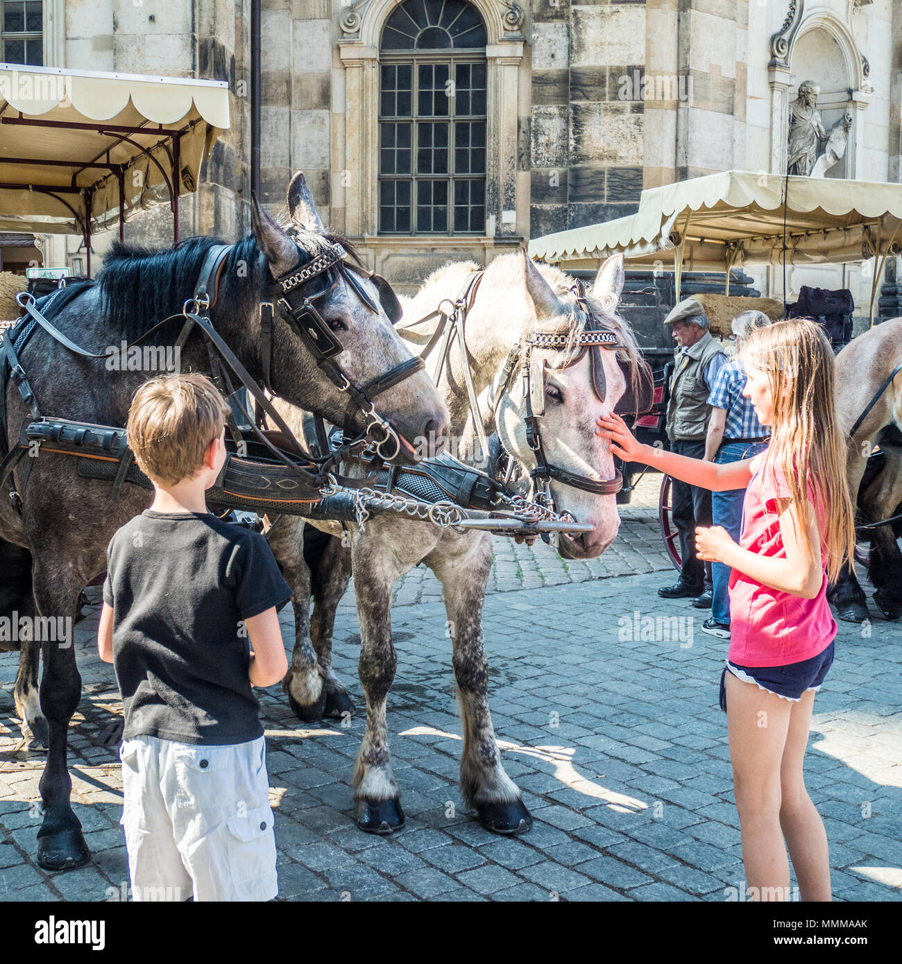 Fille de caresser un cheval à Dresde, Allemagne. Banque D'Images