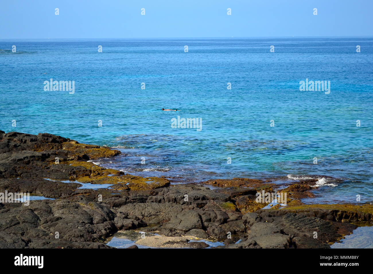 Snorkeler dans une télévision Honaunau Bay, Big Island, Hawaii, USA Banque D'Images