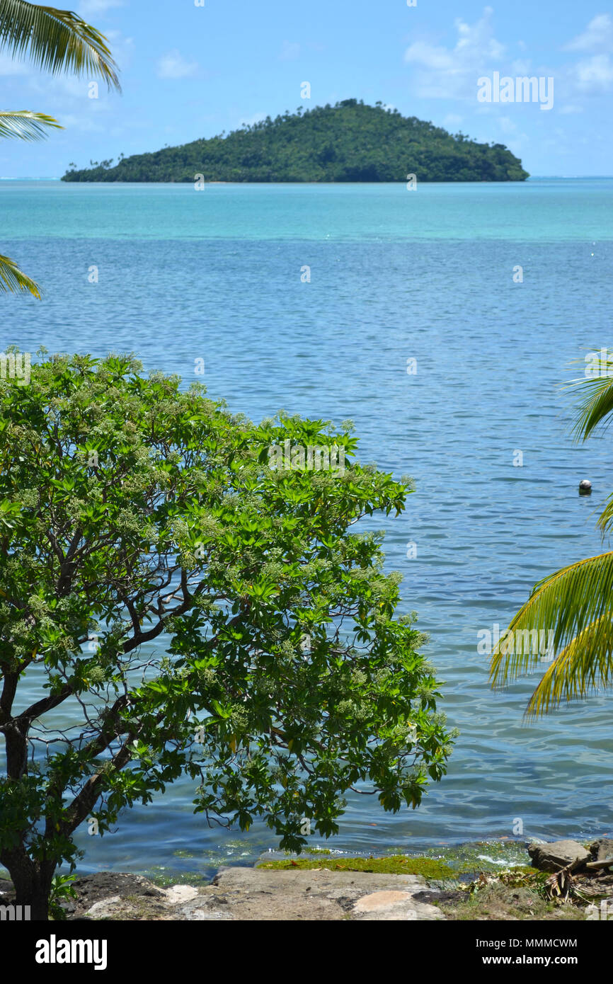 Avis de Luaniva motu, Mata-Utu, Wallis Island, Wallis et Futuna, Pacifique Sud Banque D'Images