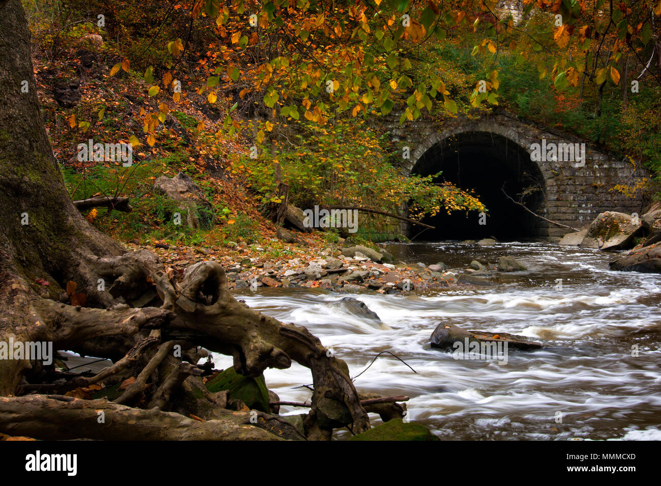 Belle scène d'automne à la Tinker's Creek viaduc à Cleveland (Ohio). Banque D'Images