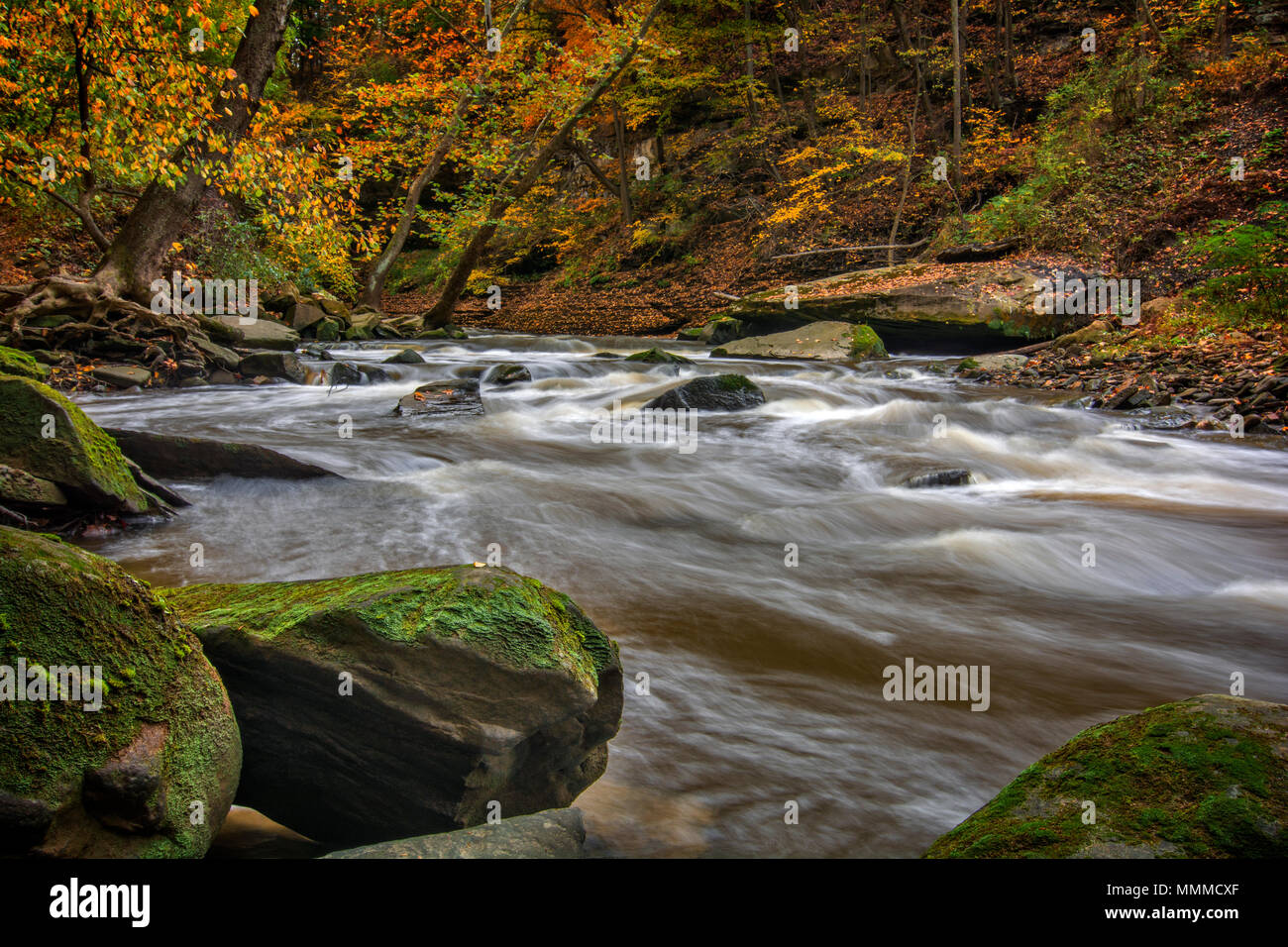 Belle scène d'automne de rapides sur Tinker's Creek à Cleveland (Ohio). Banque D'Images