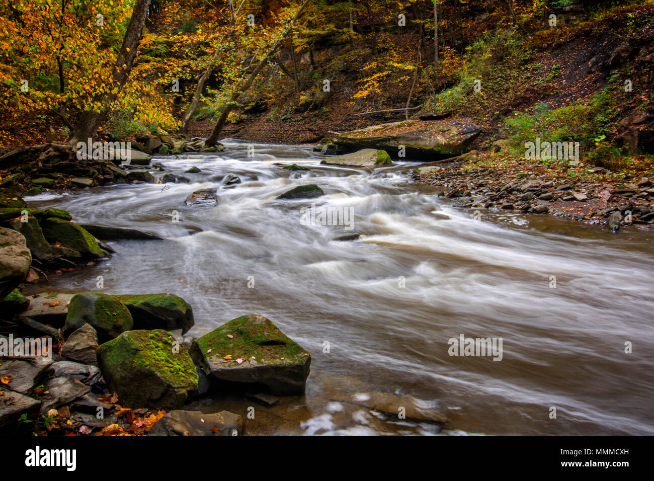 Belle scène d'automne de l'enroulement rapides de Tinker's Creek à Cleveland (Ohio). Banque D'Images