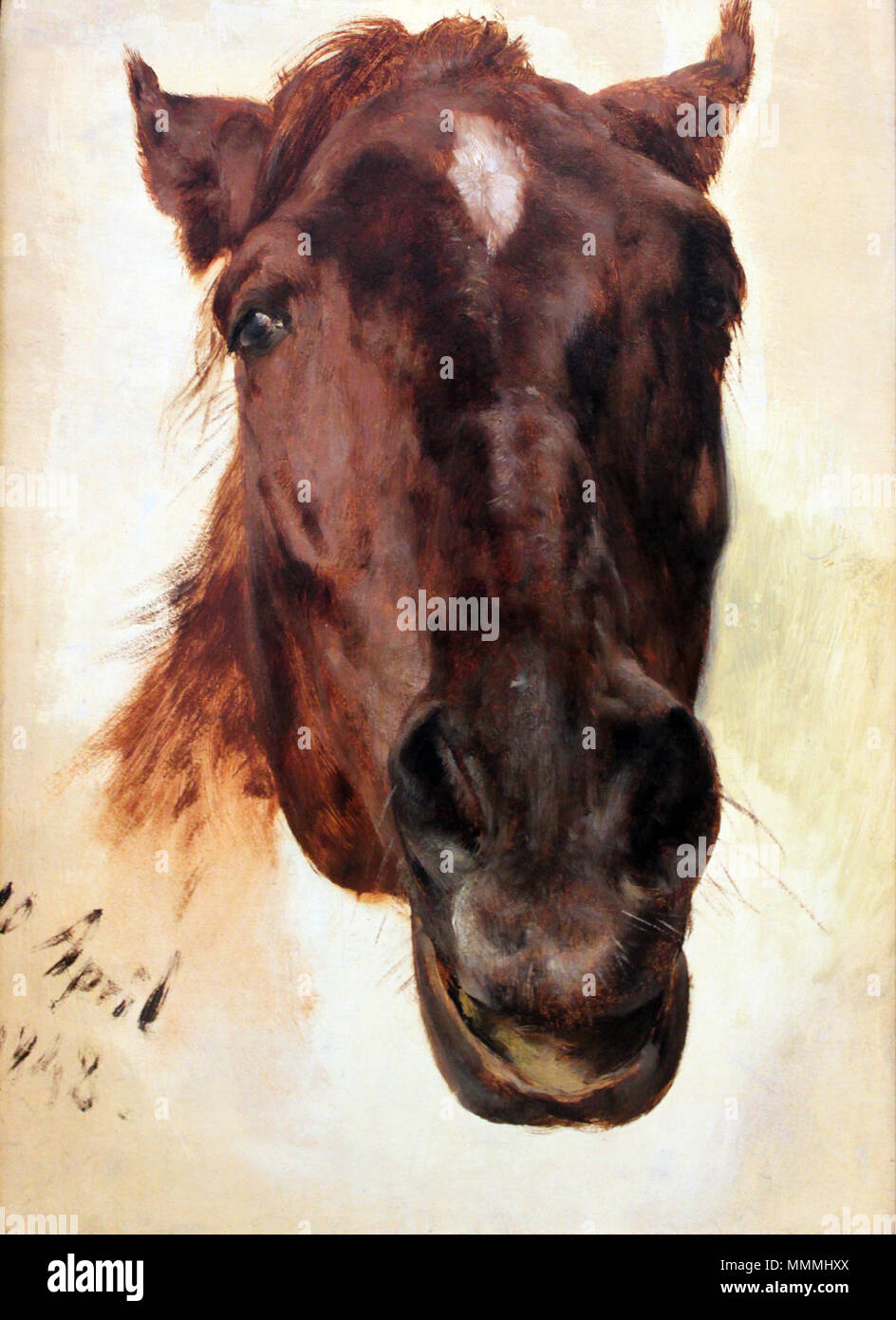 . Anglais : étude de chevaux Deutsch : Pferdestudie исследование лошадь Русский : . 1848. 1848 Pferdestudie anagoria Menzel Banque D'Images