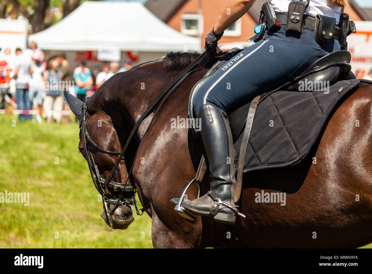Cavalière de la police allemande repose sur un cheval de la police Banque D'Images