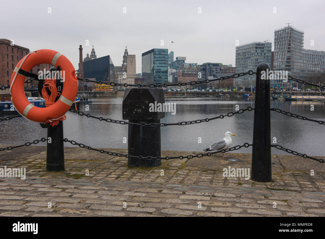 Salthouse Dock, Liverpool, avec en arrière-plan des bâtiments emblématiques, doté d'une bouée de sauvetage et d'une mouette Banque D'Images