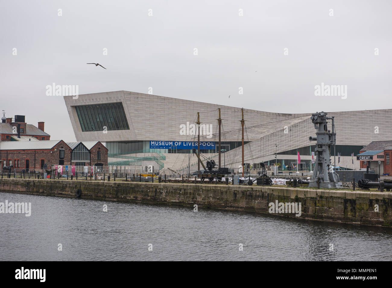 Le Musée de Liverpool, à l'extérieur de l'Albert Dock doté d''une mouette en vol Banque D'Images