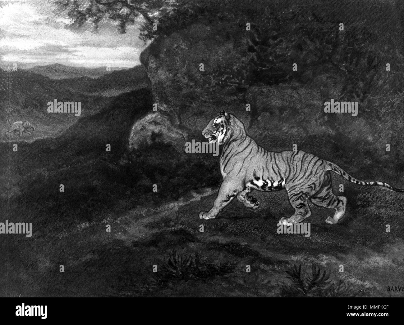37,825 Antoine-Louis Barye (Français, 1796-1875). 'Tiger' Regarder un éléphant, ca. 1857. aquarelle avec surélévation de la gomme sur rugueuses, épaisses, vélin crème. Walters Art Museum (37,825) : Acquis par William T. Walters, avant 1889. Antoine-Louis Barye - Tigre regardant un éléphant - Walters 37825 Banque D'Images