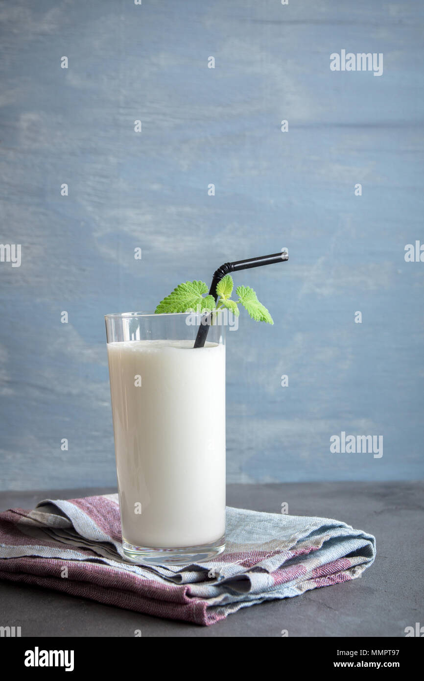 Plaine des yaourts frais (yaourts, yaourts, kéfir, ayran, lassi) en verre avec des herbes sur fond gris, l'espace de copie. Froid da fermenté probiotique Banque D'Images