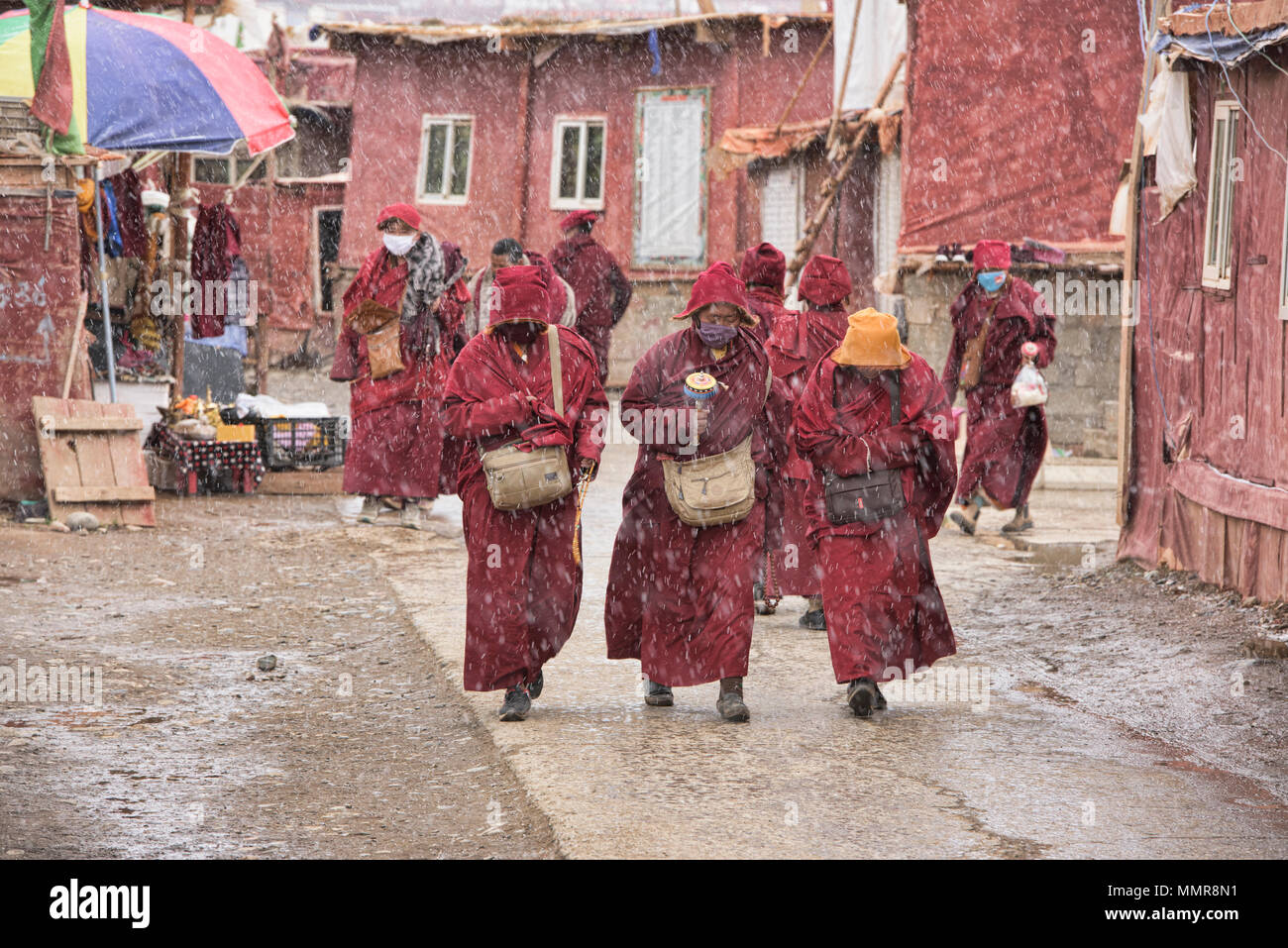 Les nonnes tibétaines marche dans la neige, Yarchen Gar, Sichuan, Chine Banque D'Images