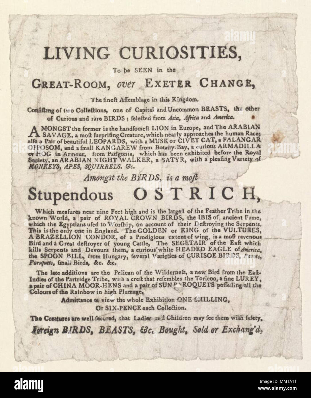 . Prospectus d'Great-Room, plus de changement d'Exeter, [1795 ?], annonçant vivant ; Curiosités Curiosités vivant, d'être vu dans le Great-Room, plus de changement d'Exeter, l'assemblage plus dans ce royaume. Composé de deux collections, l'un des capitaux et rare des bêtes, l'autre d'oiseaux rares et curieux ; ... Parmi les oiseaux, est une des plus impressionnantes, autruche qui mesure près de 9 pieds de hauteur ... ; Pidcock's exposition de bêtes sauvages ; Vivant, curiosités à voir dans le Great-Room, plus de changement d'Exeter, l'assemblage plus dans cette vie du royaume, curiosités à voir dans le Great-Room, sur Exeter Banque D'Images