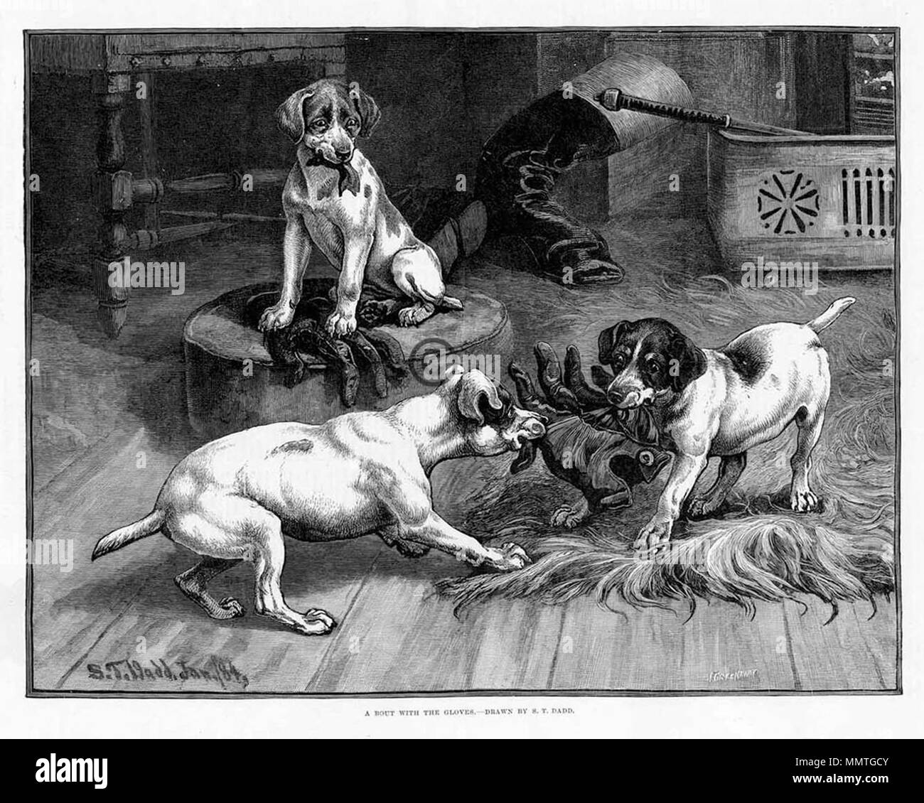 . Anglais : un combat avec les gants, un dessin avec un groupe de chiens de jouer. . 1885. S. T. Dadd Bout avec des gants dadd Banque D'Images