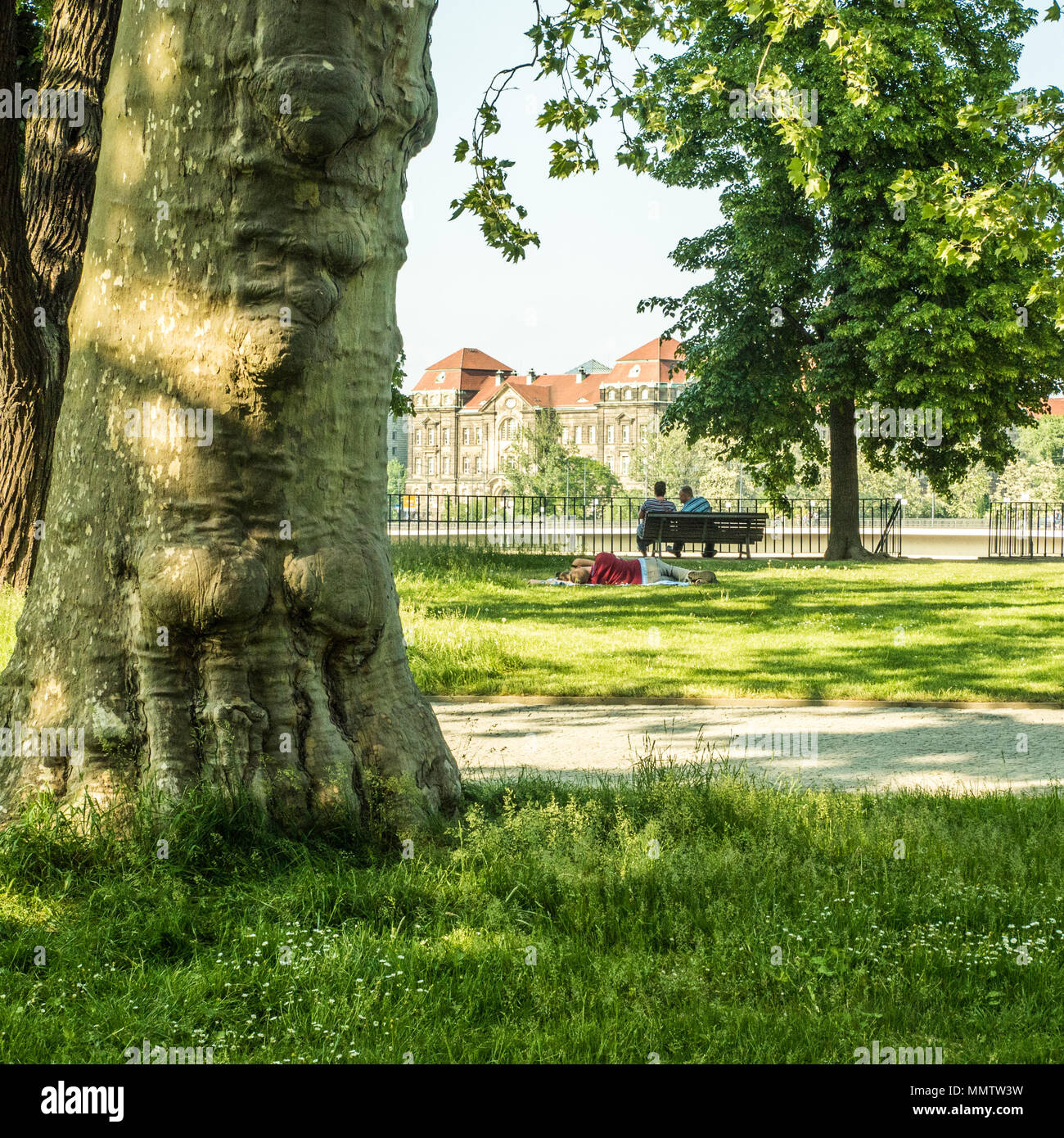 Région du parc public à Dresde en Allemagne avec le gouvernement de l'État immeuble de bureaux à l'arrière-plan. Banque D'Images