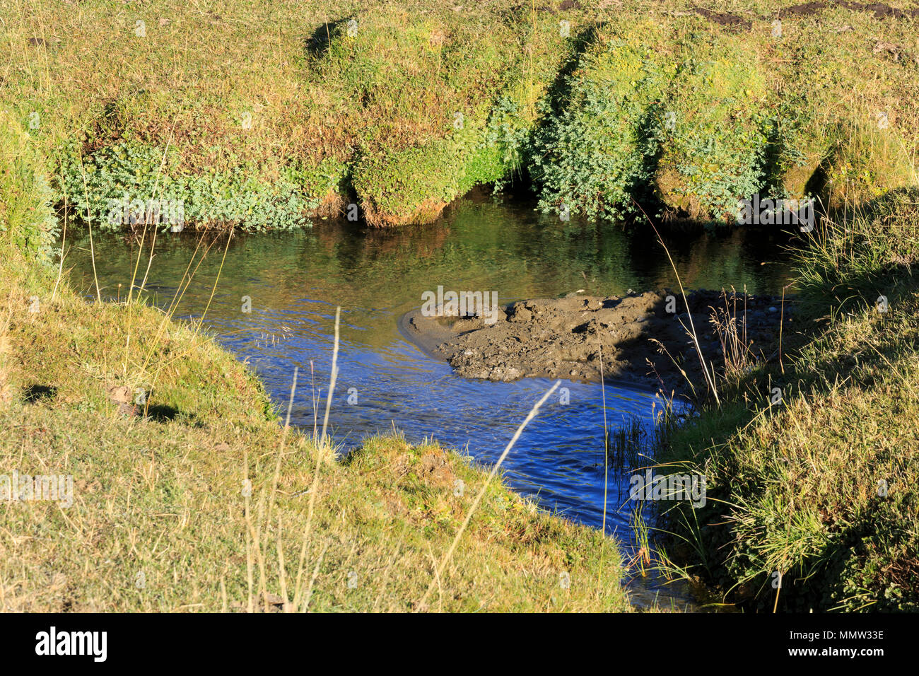 Herbes et autre végétation à côté d'un ruisseau de la rivière Baguales, Patagonie, Chili Banque D'Images